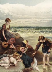 Summer Joys